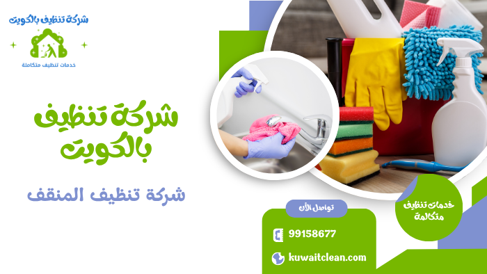تنظيف منازل في المنقف