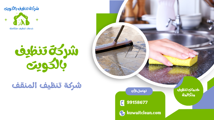 تنظيف مطبخ احترافي