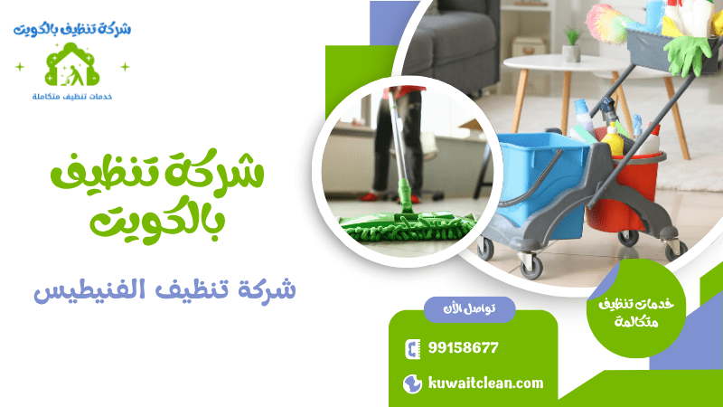 شركة تنظيف الفنيطيس